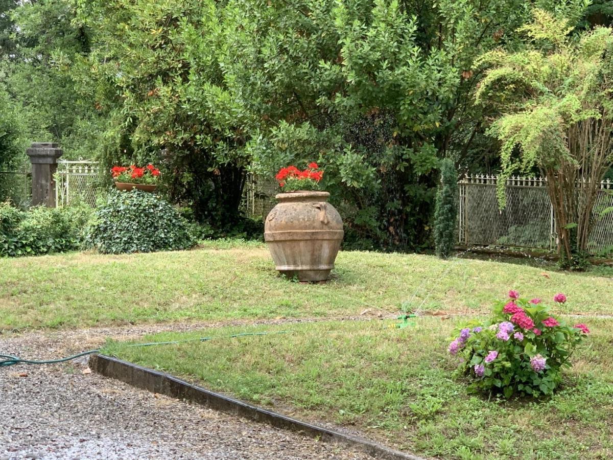 Villa Maria Luisa . Splendida Villa Liberty 卢卡 外观 照片